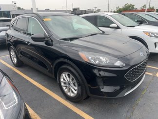 Used 2022 Ford Escape SE w/ Cold Weather Package image 1
