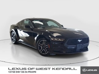 Used 2024 Ford Mustang Premium image 1