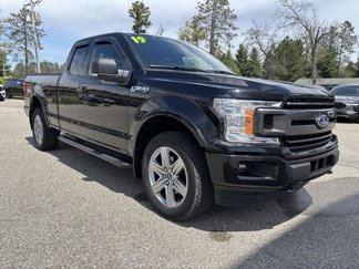 Used 2019 Ford F150 XLT w/ Equipment Group 302A Luxury image 1