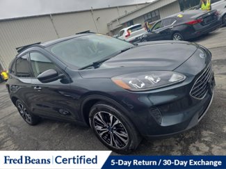 Used 2022 Ford Escape SE w/ SE Sport Appearance Package image 1