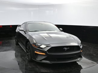 Used 2019 Ford Mustang Coupe w/ Ecoboost Performance Package image 1