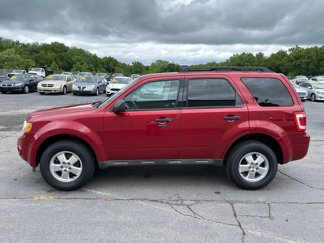 Used 2011 Ford Escape XLT w/ Cargo Pkg image 1