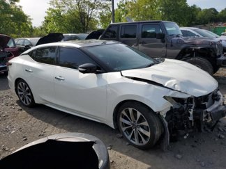 Used 2023 Nissan Maxima Platinum w/ Sport Mat Group image 1