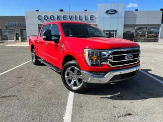 Certified 2021 Ford F150 XLT w/ Equipment Group 302A High image 1
