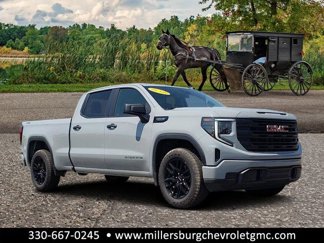 New 2025 GMC Sierra 1500 Pro w/ Graphite Edition image 1