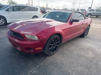 Used 2011 Ford Mustang Convertible w/ 101A Rapid Spec Order Code image 1
