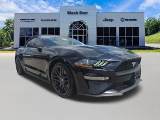 Used 2021 Ford Mustang Premium image 1