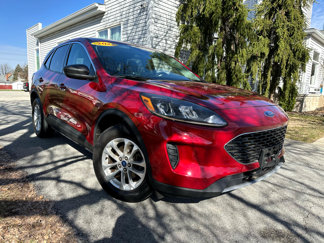 Used 2022 Ford Escape SE image 1