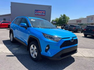 Used 2020 Toyota RAV4 XLE w/ Convenience Package image 1