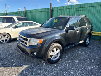 Used 2009 Ford Escape XLT image 1