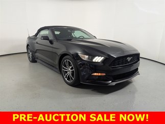 Used 2017 Ford Mustang Premium image 1