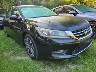Used 2013 Honda Accord Sport image 1