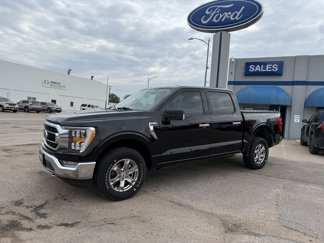 Used 2021 Ford F150 XLT w/ Equipment Group 302A High image 1