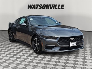 New 2025 Ford Mustang Coupe image 1