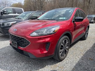 Used 2022 Ford Escape SE w/ SE Sport Appearance Package image 1