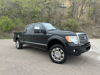 Used 2010 Ford F150 Platinum image 1