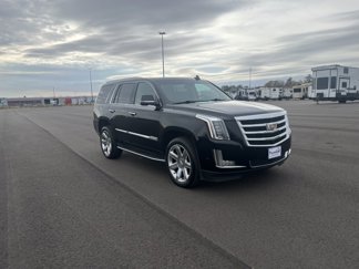Used 2017 Cadillac Escalade Luxury image 1