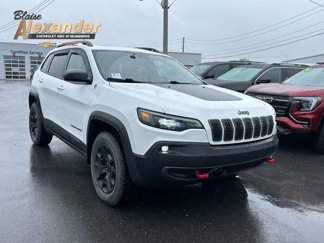 Used 2021 Jeep Cherokee Trailhawk w/ Sun, Sound & Nav Group image 1