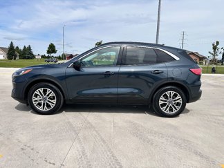 Used 2022 Ford Escape SEL image 1