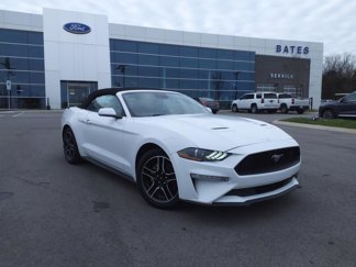 Certified 2022 Ford Mustang Premium image 1