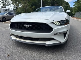 Used 2018 Ford Mustang Premium w/ Equipment Group 201A image 1