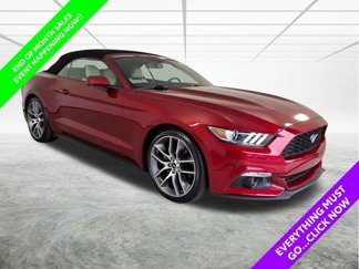 Used 2015 Ford Mustang Premium w/ Equipment Group 201A image 1