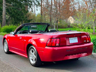 Used 2004 Ford Mustang Deluxe Convertible image 1