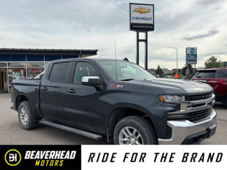 Used 2019 Chevrolet Silverado 1500 LT w/ All-Star Edition image 1