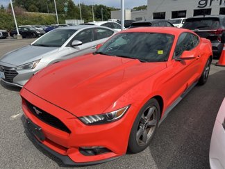 Used 2016 Ford Mustang Coupe w/ Equipment Group 051A image 1