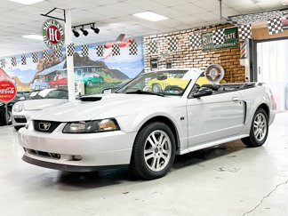 Used 2002 Ford Mustang GT Premium image 1
