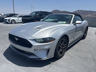 Used 2019 Ford Mustang Premium image 1