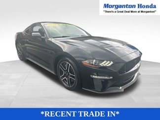 Used 2018 Ford Mustang GT w/ Equipment Group 301A image 1