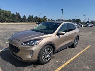 Used 2020 Ford Escape SEL image 1