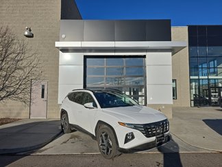 Used 2024 Hyundai Tucson Limited image 1