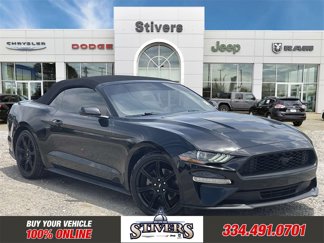 Used 2020 Ford Mustang Convertible w/ Equipment Group 101A image 1