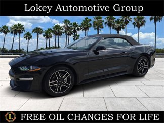 Used 2023 Ford Mustang Premium image 1
