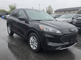 Used 2022 Ford Escape SE image 1