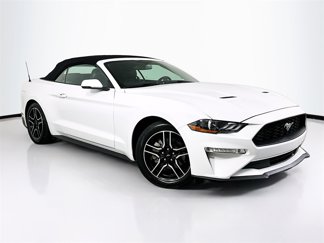 Used 2019 Ford Mustang Premium image 1