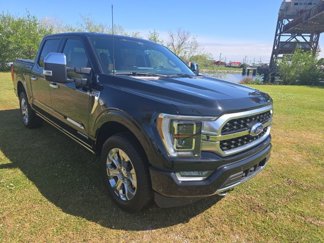 Used 2021 Ford F150 Platinum w/ Equipment Group 701A High image 1
