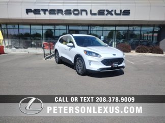 Used 2020 Ford Escape SEL image 1
