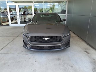 Used 2024 Ford Mustang Coupe image 1