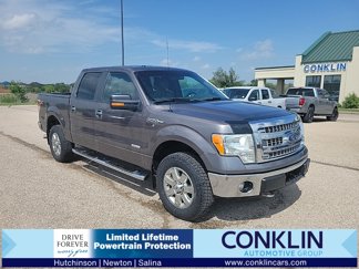 Used 2014 Ford F150 XLT image 1