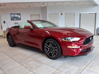 Certified 2020 Ford Mustang Premium w/ Ford Safe & Smart Package image 1