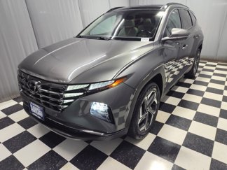 Used 2023 Hyundai Tucson Limited image 1