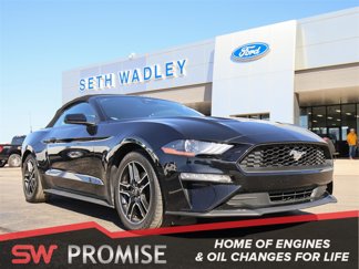 Used 2022 Ford Mustang Premium image 1