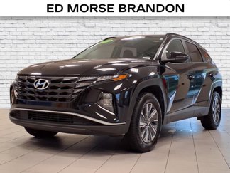 Used 2022 Hyundai Tucson Blue image 1