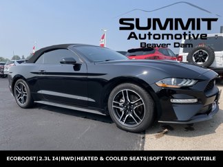 Used 2021 Ford Mustang Premium image 1