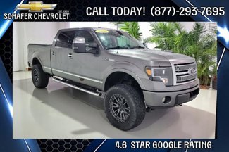 Used 2010 Ford F150 Platinum image 1