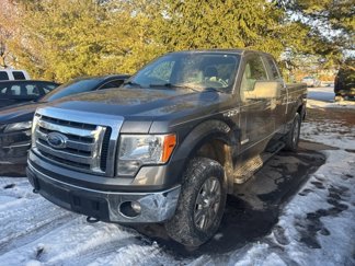 Used 2011 Ford F150 XLT w/ XLT Convenience Pkg image 1