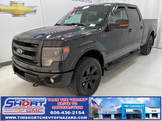 Used 2013 Ford F150 FX4 image 1